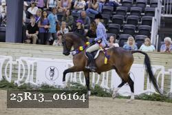 25R13_06164 thumbnail