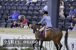25R13_06166 thumbnail