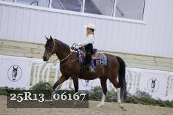 25R13_06167 thumbnail