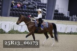 25R13_06173 thumbnail