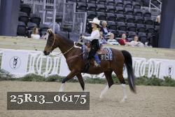 25R13_06175 thumbnail
