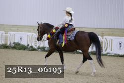 25R13_06195 thumbnail