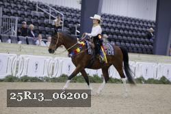 25R13_06200 thumbnail