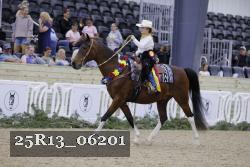 25R13_06201 thumbnail