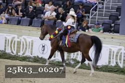 25R13_06207 thumbnail