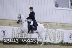 25R13_06213 thumbnail