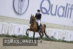 25R13_06215 thumbnail