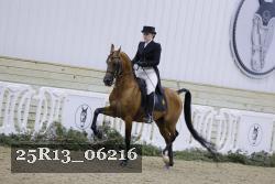 25R13_06216 thumbnail