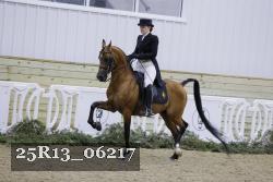 25R13_06217 thumbnail