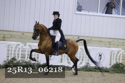 25R13_06218 thumbnail