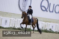 25R13_06220 thumbnail