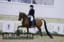 25R13_06222 thumbnail