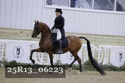 25R13_06223 thumbnail