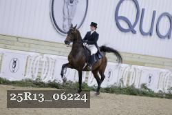 25R13_06224 thumbnail
