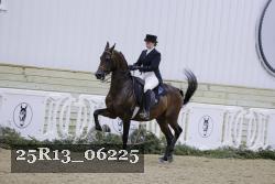 25R13_06225 thumbnail