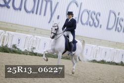 25R13_06227 thumbnail