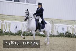 25R13_06229 thumbnail