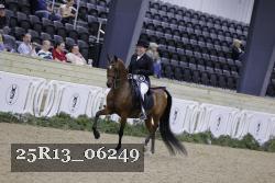 25R13_06249 thumbnail