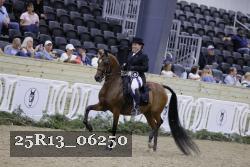 25R13_06250 thumbnail