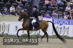 25R13_06253 thumbnail