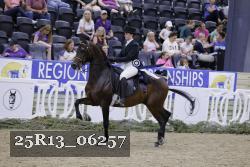 25R13_06257 thumbnail