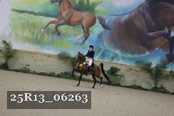 25R13_06263 thumbnail