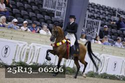 25R13_06266 thumbnail