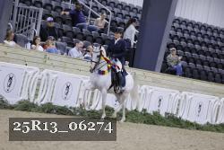 25R13_06274 thumbnail