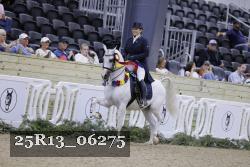 25R13_06275 thumbnail