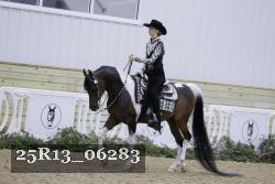 25R13_06283 thumbnail