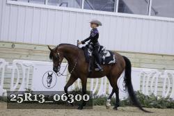 25R13_06300 thumbnail