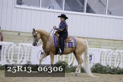 25R13_06306 thumbnail