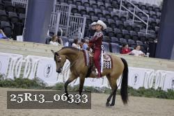 25R13_06333 thumbnail