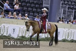 25R13_06334 thumbnail
