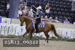 25R13_06342 thumbnail