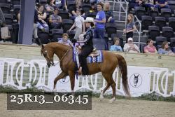 25R13_06345 thumbnail