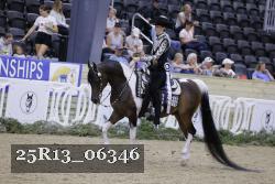 25R13_06346 thumbnail