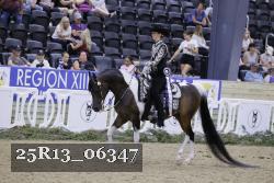 25R13_06347 thumbnail