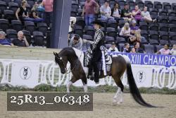 25R13_06348 thumbnail