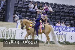 25R13_06351 thumbnail