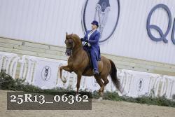 25R13_06362 thumbnail