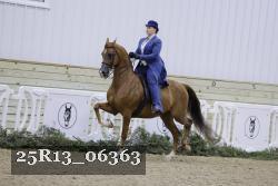 25R13_06363 thumbnail