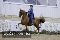 25R13_06364 thumbnail