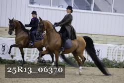 25R13_06370 thumbnail