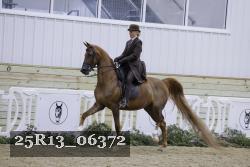 25R13_06372 thumbnail