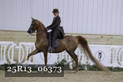 25R13_06373 thumbnail