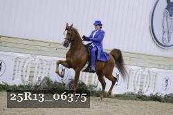 25R13_06375 thumbnail