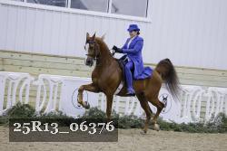 25R13_06376 thumbnail