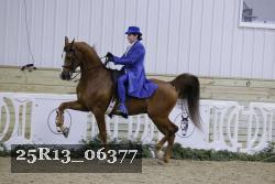 25R13_06377 thumbnail
