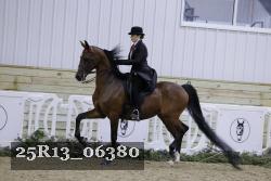 25R13_06380 thumbnail